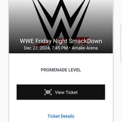 Wwe Smackdown 1 Ticket 12/27 Amelie Arena Tampa