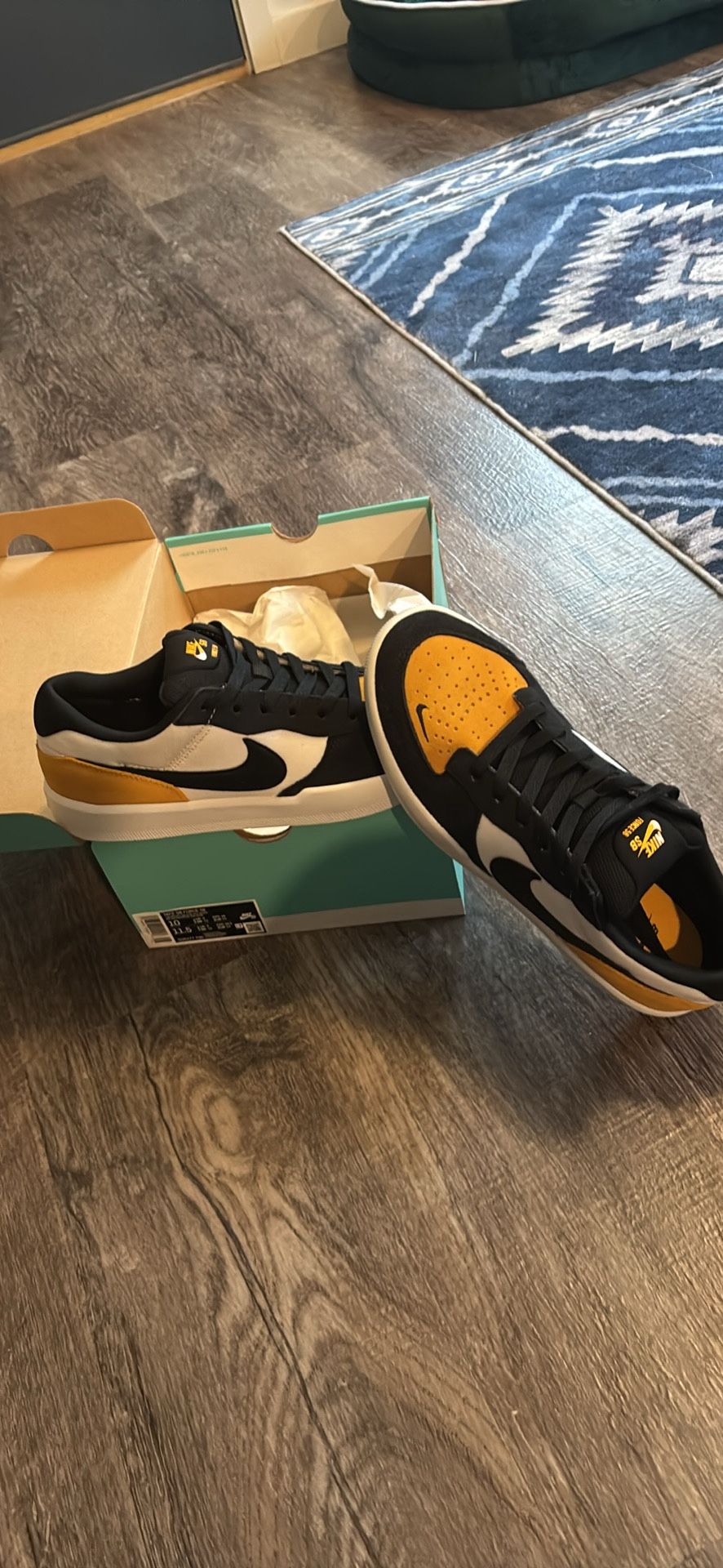 Nike SB Men’s 10