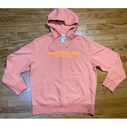 American Eagle AE Vintage Heathered Fleece heavyweight Hoodie men’s sz XL New!