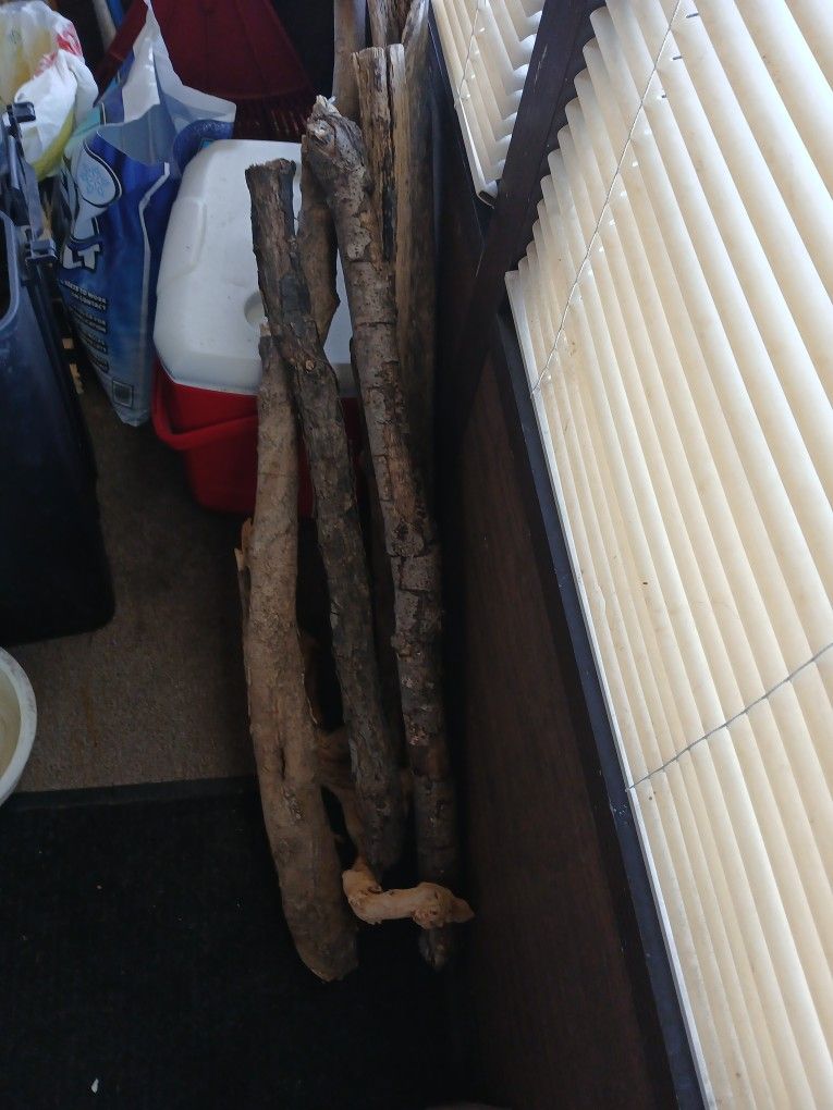 Reptile Toys For A Cage