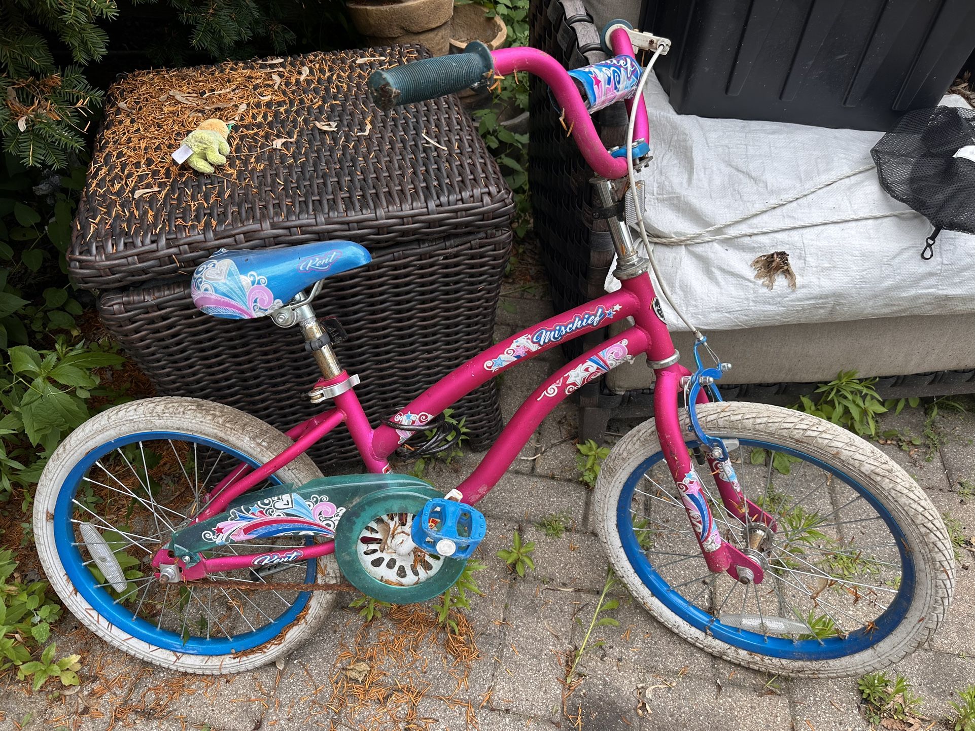 Girls Bike Needs A New Seat Wd40 On The Chain