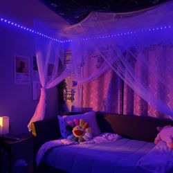 Daybed With storage trundle 