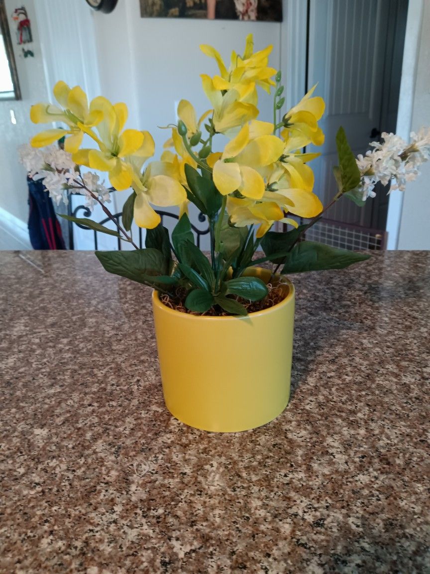 Decorative, Artificial,Plant, Plants