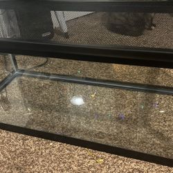 20 Gallon Long Aquarium and Mesh Lid