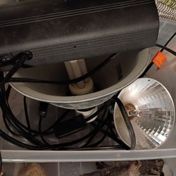 Reptile Supplies