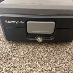 Sentrysafe Fireproof/waterproof Safe Box 