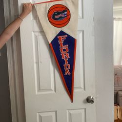 Gator Banner Decor Florida 
