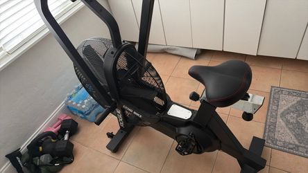 Rogue echo assault bike