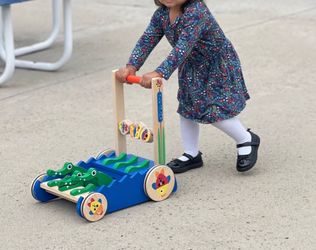Melissa & Doug wood push toy
