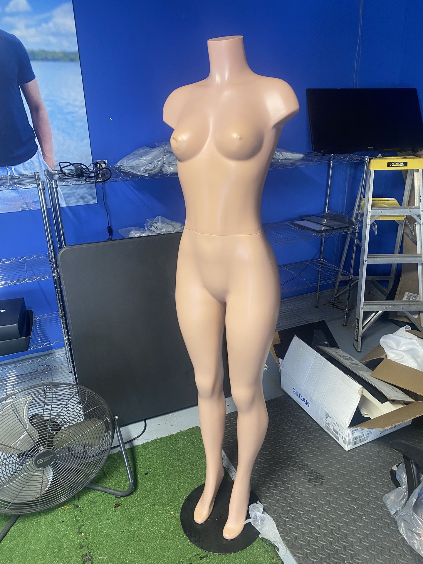 Female Mannequin