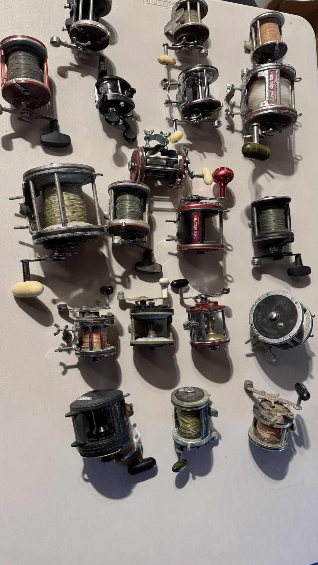 19 Penn and Shimano Reels
