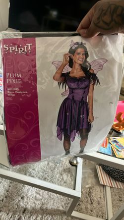 Adult Plum Fairy Costume