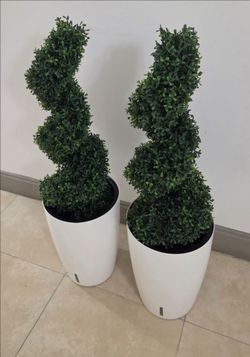 PAIR of 3ft Faux Boxwood Spirals in 16in White Resin Planters (2 for $100) @ Lasting Creations