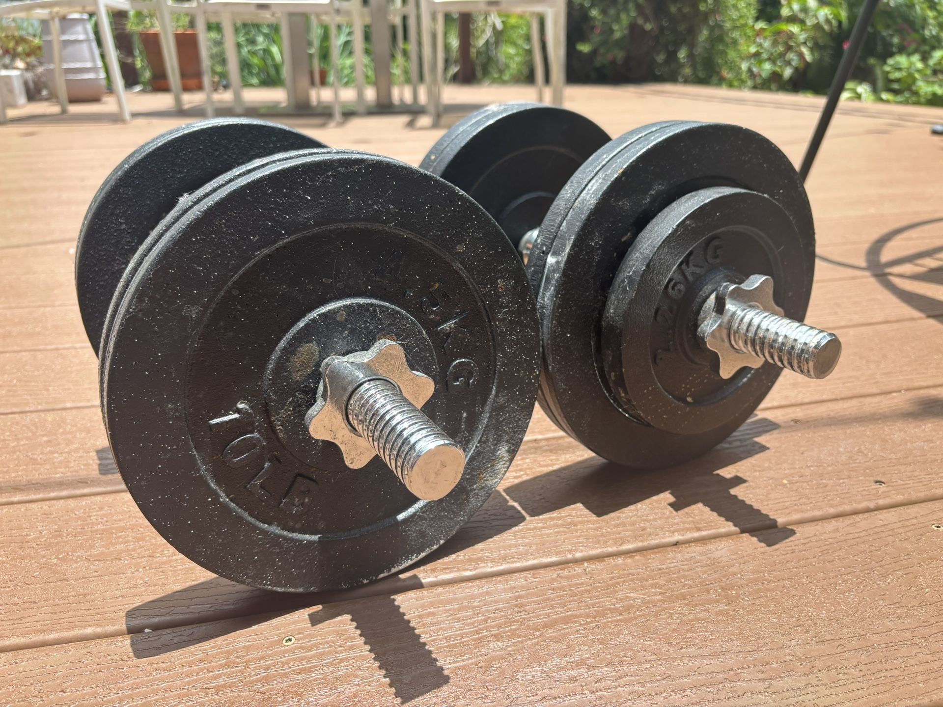 45 Pound Dumbbell Weights Gym