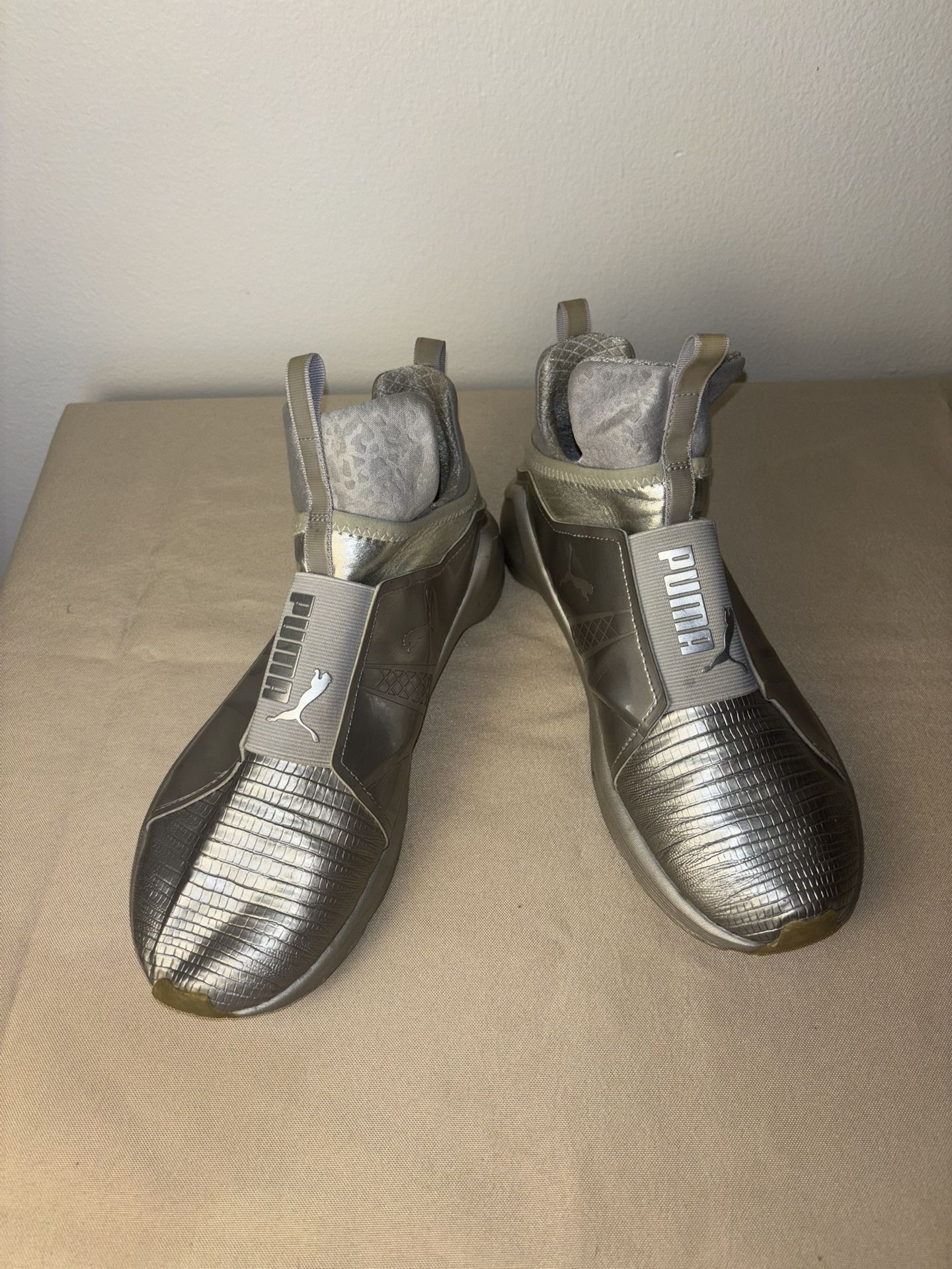 Silver Puma