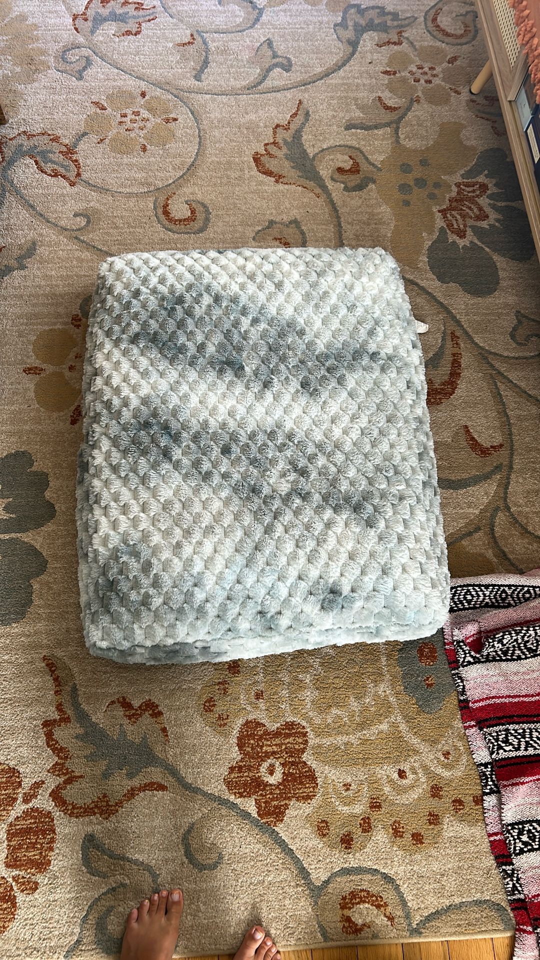 Jessica Simpson Large Memory Foam Dog Bed – Like New