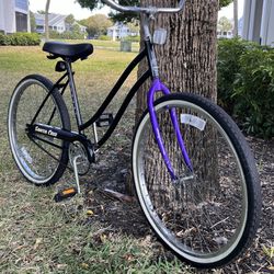 Murray Santa Cruz Cruiser Bicycle 🚲