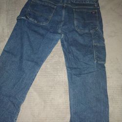 Dickies Carpenter Pants