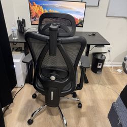 Ergonomic Chair