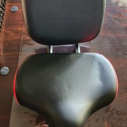 Bicycle Seat Wit Back Support