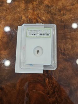 (NWA) North West Africa Meteorite 