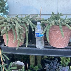 Take Both For $30