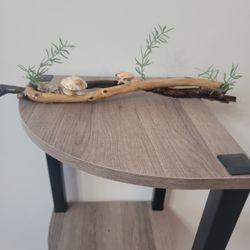 Small Driftwood With Shell Turtles