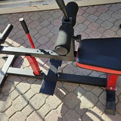 Seated Calf Machine 