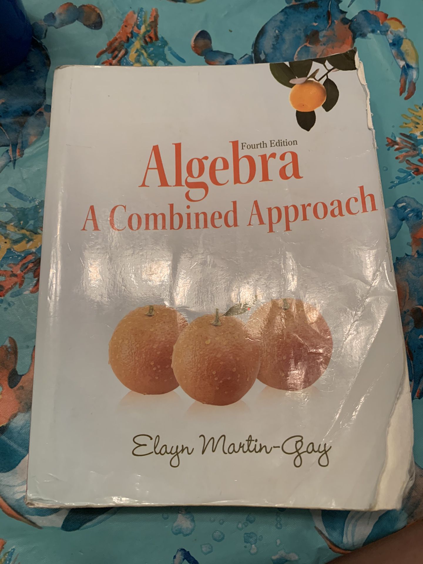 Algebra Textbook: A Combined Approach