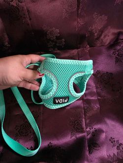 Cat Harness & Leash Set – Teal Green