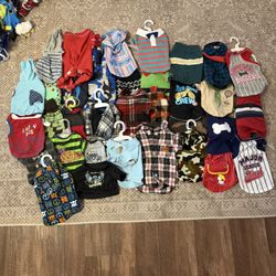 Small Dog Clothes