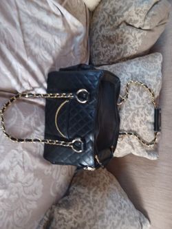 Luxurious Cat Carrier