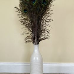 Peacock Feathers (set of 20) and Pier 1 Ceramic Vase