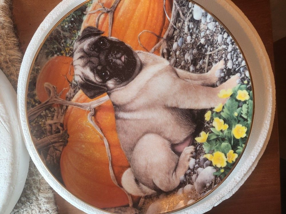 Pug Plates Collection 