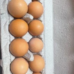 Organic Fresh Eggs ($8 the Dozen)