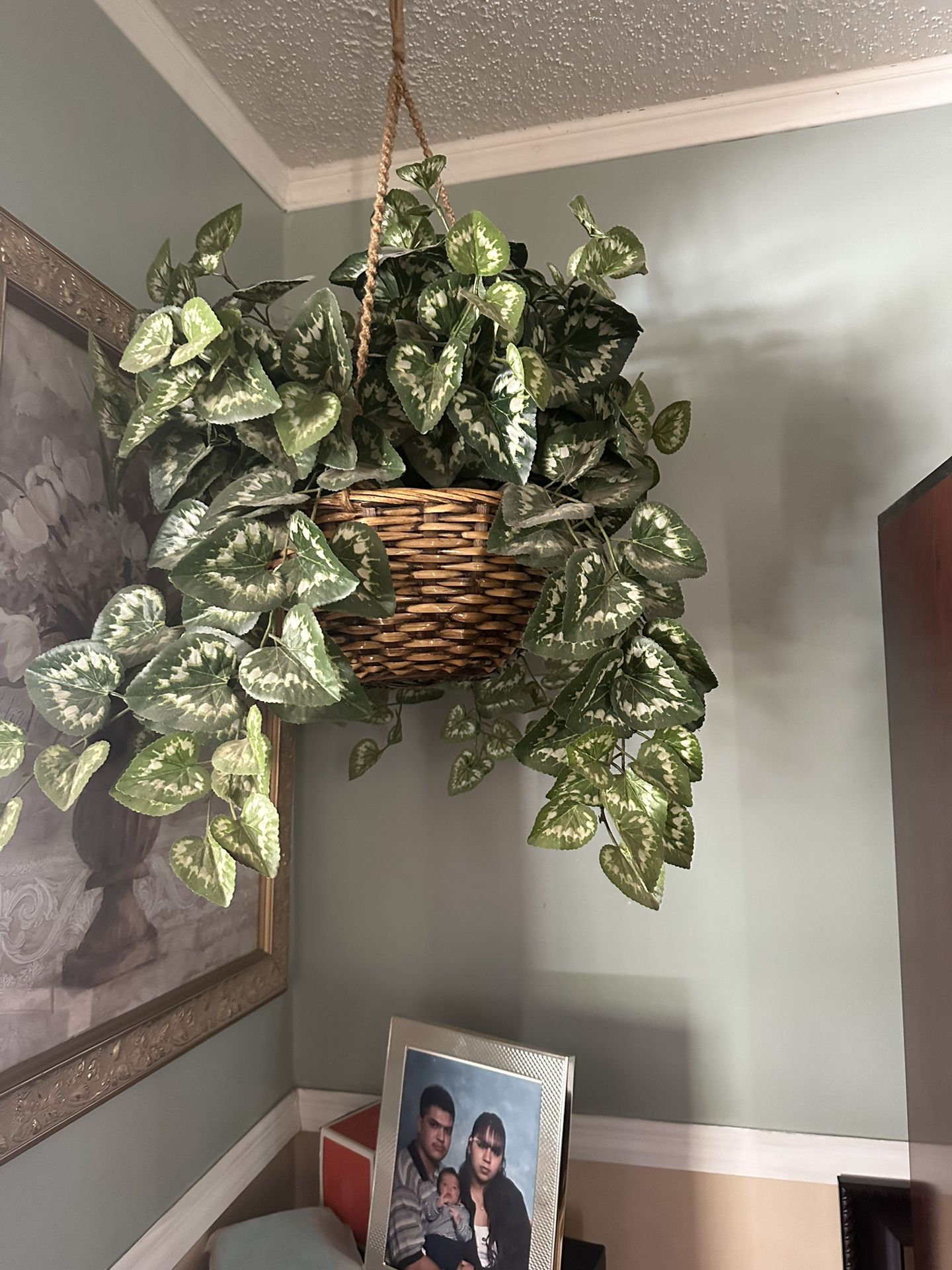 Hanging Basket With Plant 