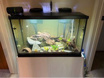 Fish Tank