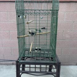 Green Bird Cage / with brown bamboo table