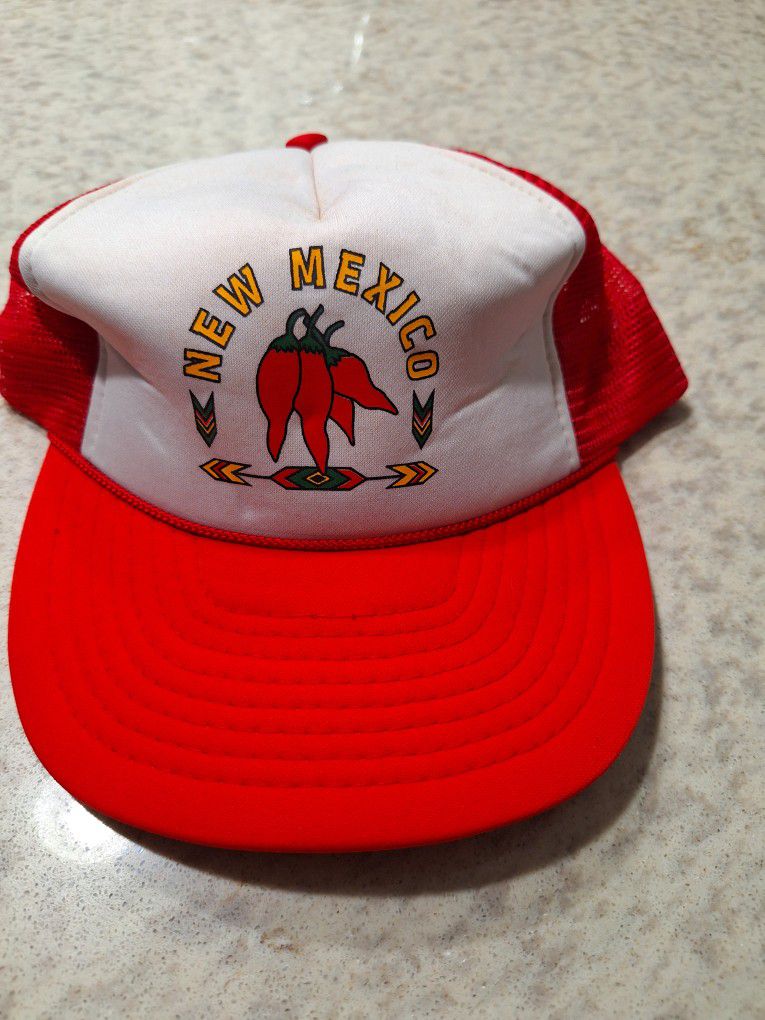 Vintage New Mexico SNAPBACK HAT 80s