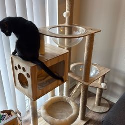 Cat Tower
