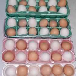 Fresh Yard Eggs 