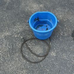 Heated Water Bucket 