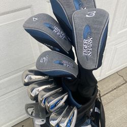 ⛳️🌸 Womens Golf Clubs And Bag. Nice!!