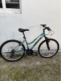 Adult bicycle