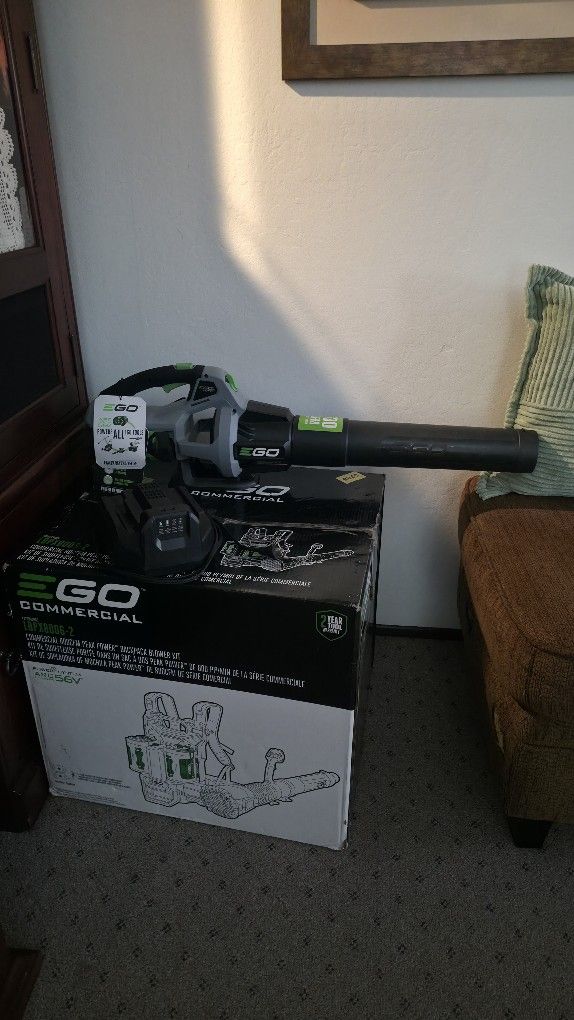 EGO eletric Leaf Blower