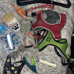 Lot Of Dog Items & Accessories  