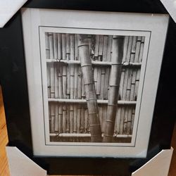 Bamboo Black framed wall art  