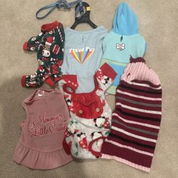 Pet Clothes 