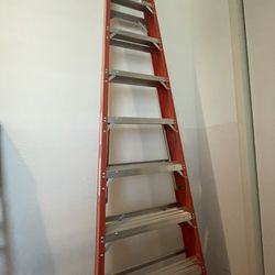 Werner 10ft Professional ladder