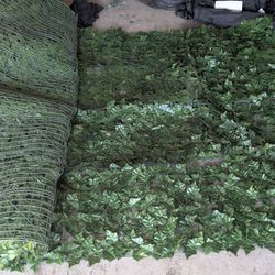 77"x 14'  artificial ivy privacy screen or backdrop